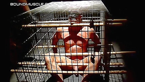 Fit Stud Is Thrown Into A Cage And Tormented By His Master