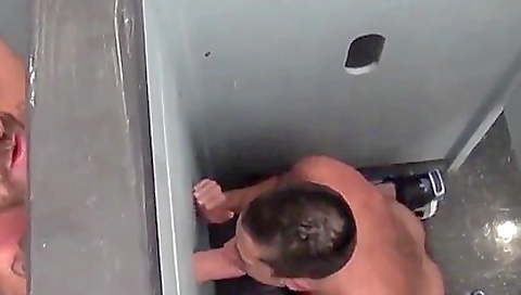 Rocco In The Glory Aperture